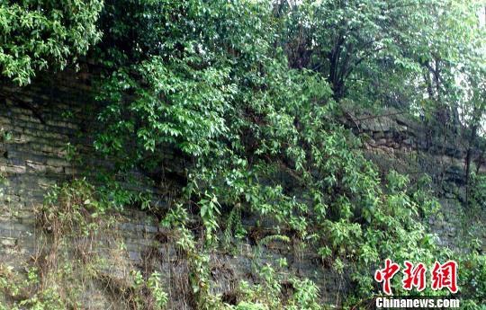 漢中新發現的古城墻　左湯泉　攝